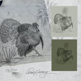 Sketch Series - Osceola Turkey - POD