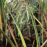 Lightweight Performance Long Sleeve Shirt - FL Camo Glades