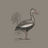 Sketch Series - Black Bellied Whistling Duck - Mud Gray