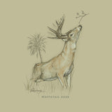 Sketch Series - Whitetail Deer - Dusty Green