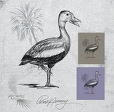 Sketch Series - Black Bellied Whistling Duck - Purple